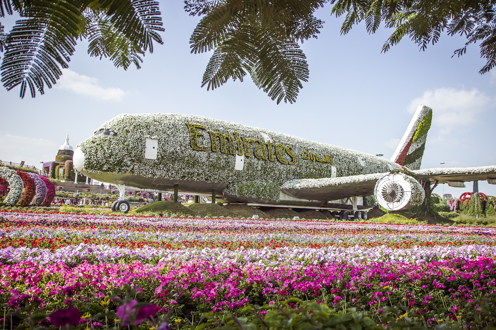 Dubai Butterfly Garden Entry Ticket