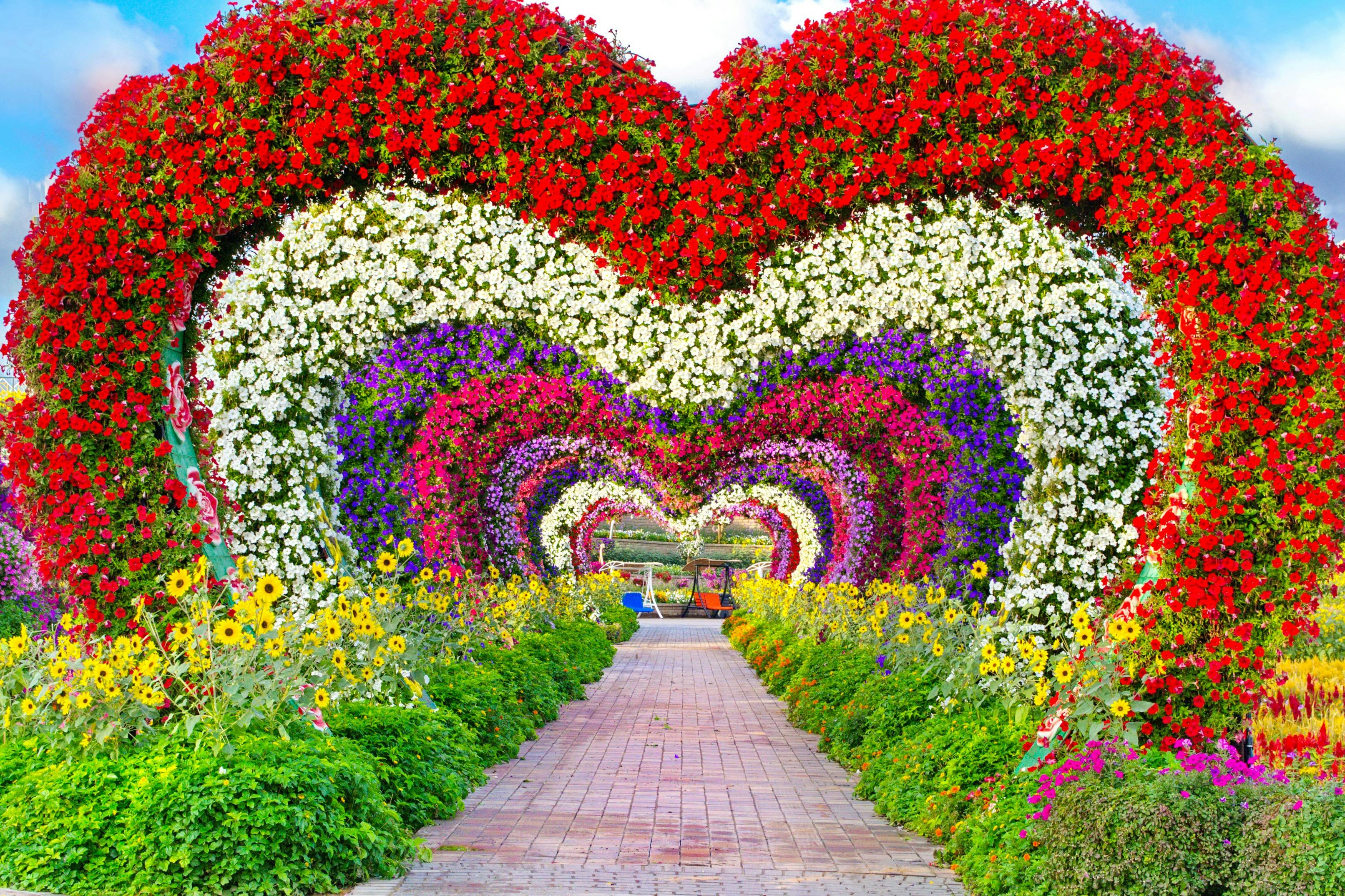 Dubai Miracle Garden Entry Ticket