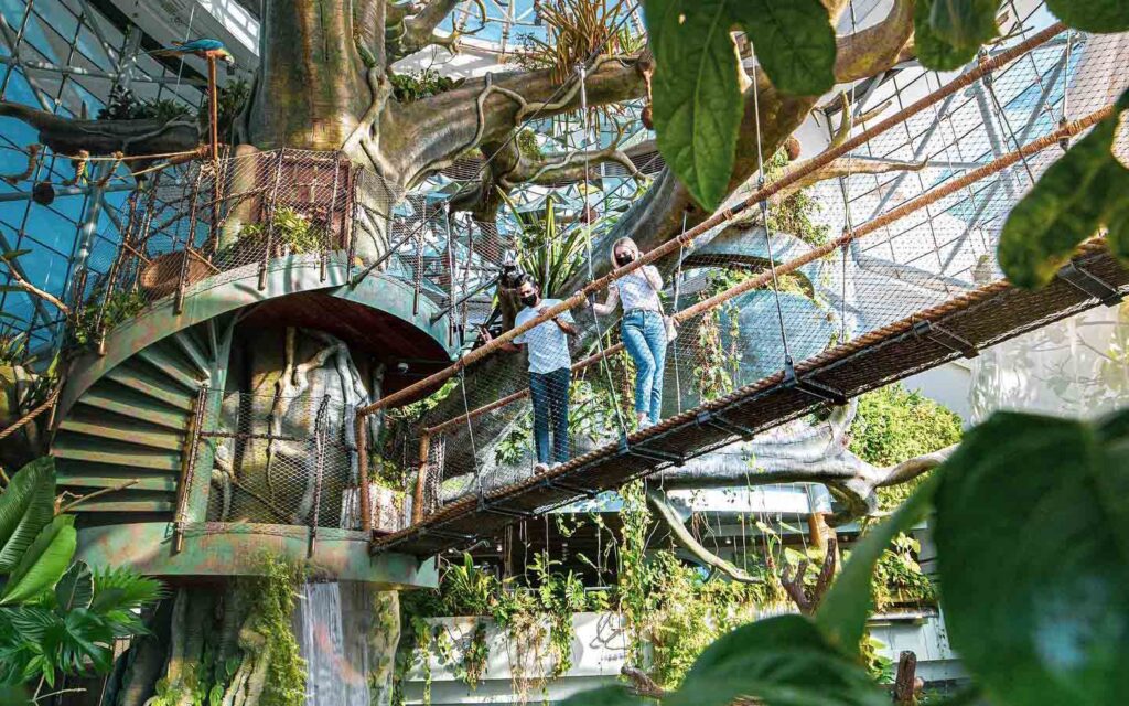 The Green Planet - Dubai's Tropical Bio-Rainforest