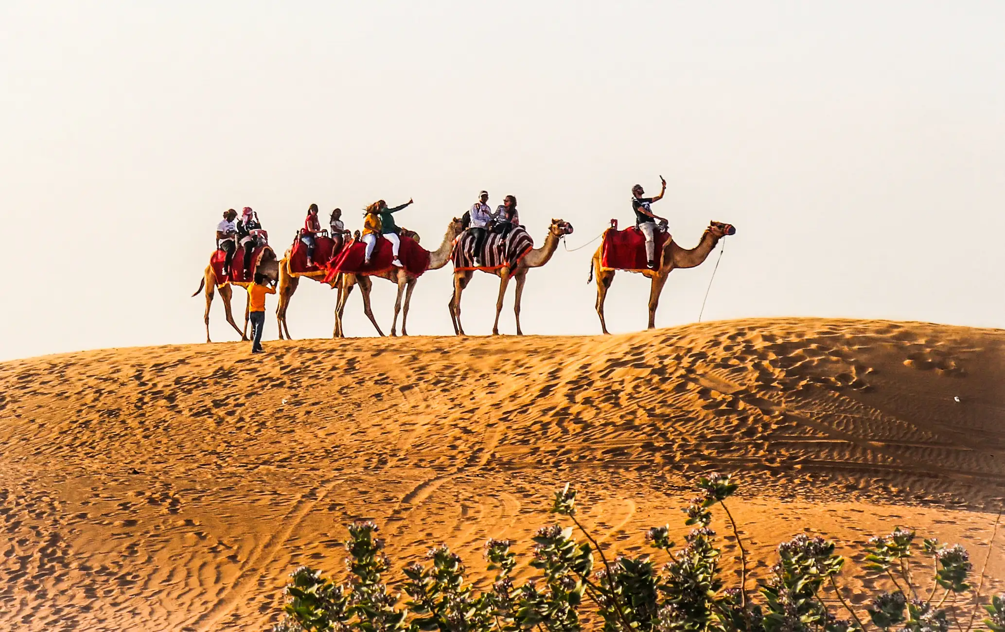 Traditional Tanura dance show