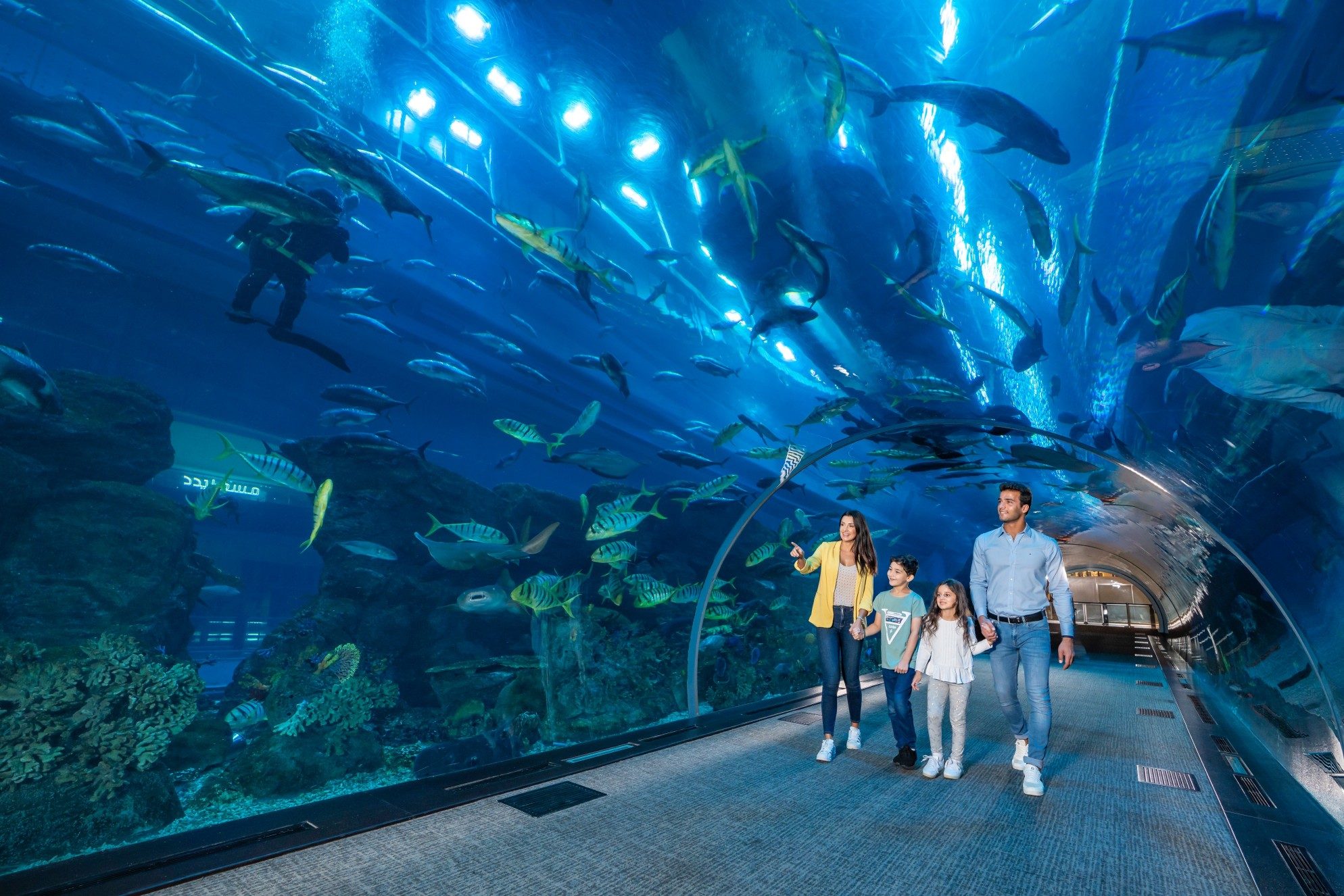 Dubai Aquarium & Underwater Zoo Entry Ticket